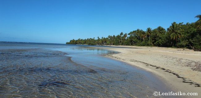 Playas en Samaná República Dominicana