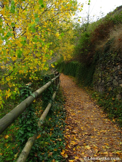 Otoño, una época ideal para visitar el nacedero del río Queiles