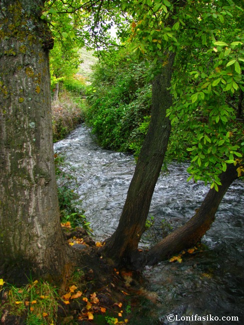 Caudal de agua potente en el tramo inicial del río Queiles