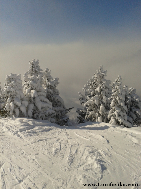 Si te gusta esquiar fuera pista entre pinos, Patscherkofel ofrece muchas posibilidades