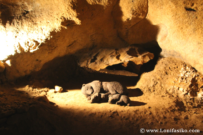 Oso cavernario en Cuevas de Arrikrutz en Oñati