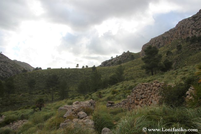 Yacimiento arqueologico de Ses Sínies