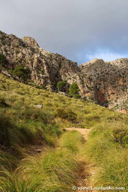 Banco de madera en el Mirador de Ses Sínies