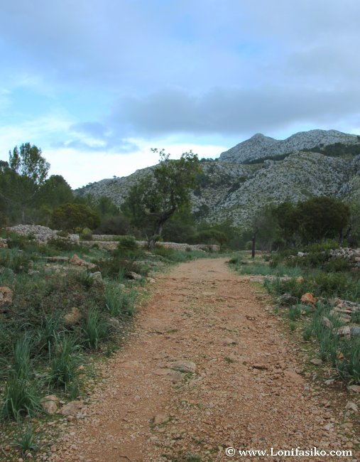 La ruta de senderismo GR-211 atraviesa la finca pública Es Galatzó