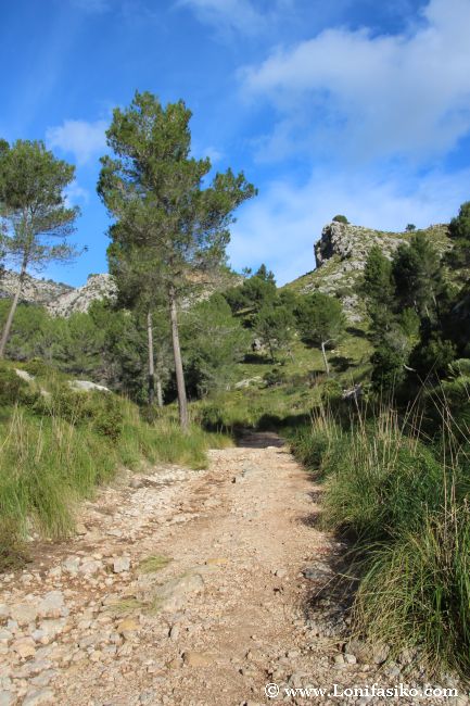 La pista o sendero que sube hacia Ses Sínies