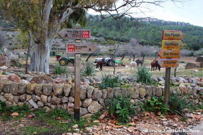Rutas de senderismo que atraviesan la finca pública Es Galatzó