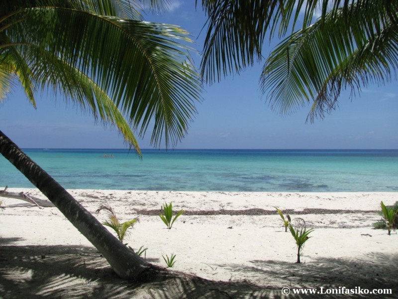 Mejores playas de Cozumel para hacer snorkel
