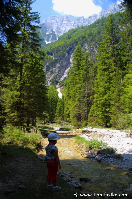 Las primeras aguas del río Sava Dolinka, en los Alpes Julianos