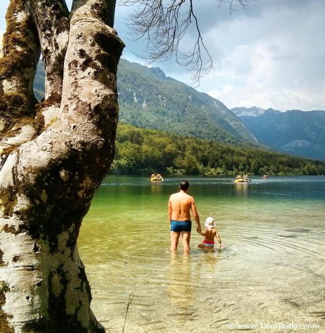 Dónde bañarse en el lago Bohinj