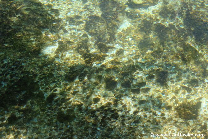 Pozas de aguas cristalinas en el río Radovna