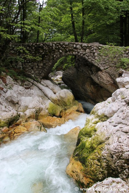 Puente donde comienza la subida a la cascada Savica