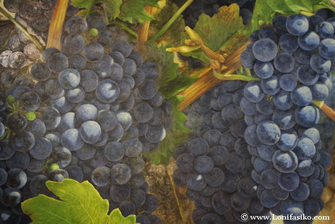Cuadros relacionados con uvas y el mundo del vino