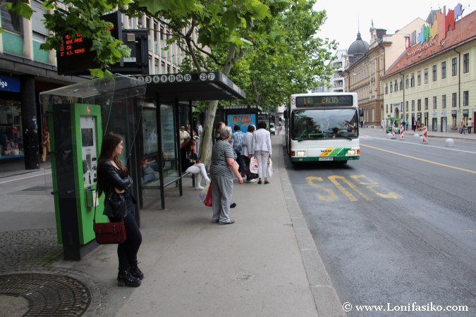 Autobús al zoo de Liubliana