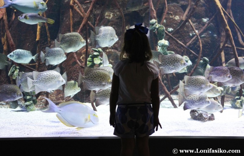 Donostia-San Sebastián con niños