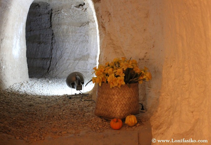 Casas Cuevas Bardeneras Valtierra Fotos Bardenas Navarra