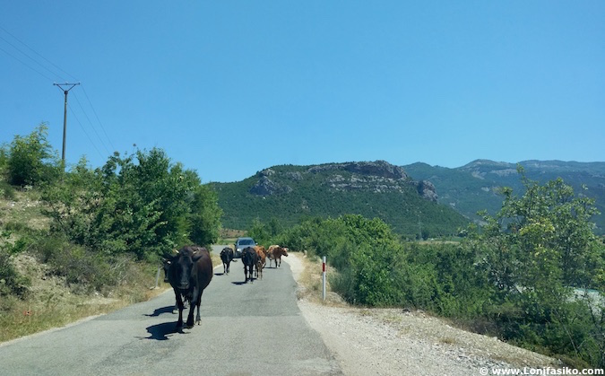 albania carreteras fotos