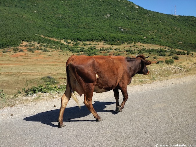 albania carreteras peligros