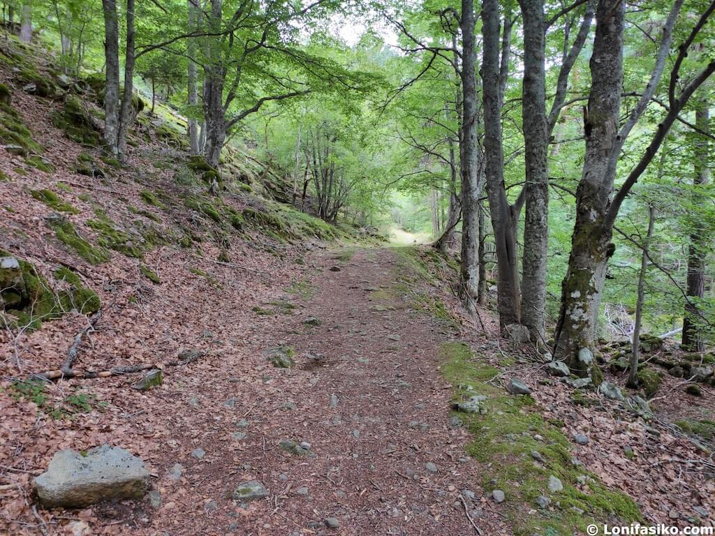 dónde termina la ruta de las cascadas de puente ra