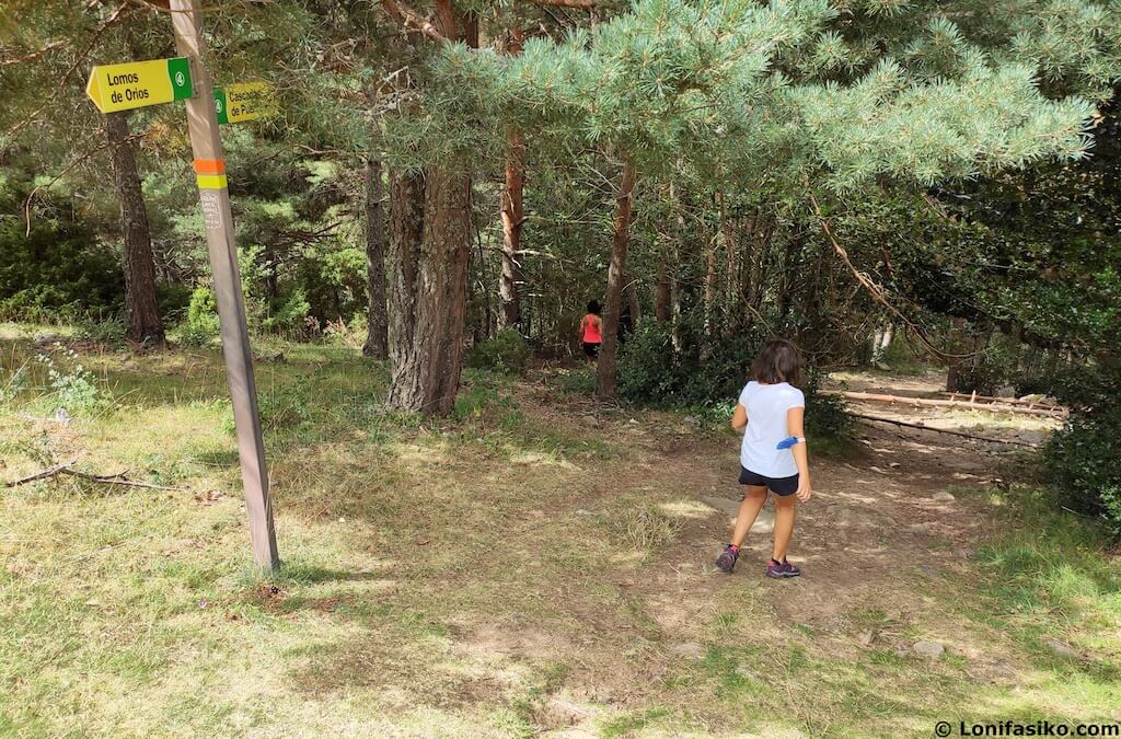 ruta senderismo con niños sierra de cebollera